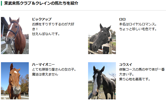 東武の馬たち