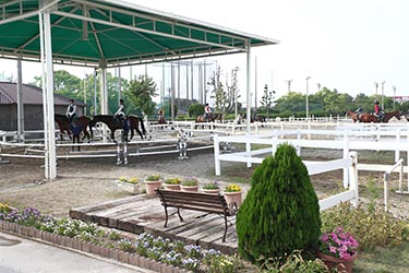 乗馬クラブクレイン東海