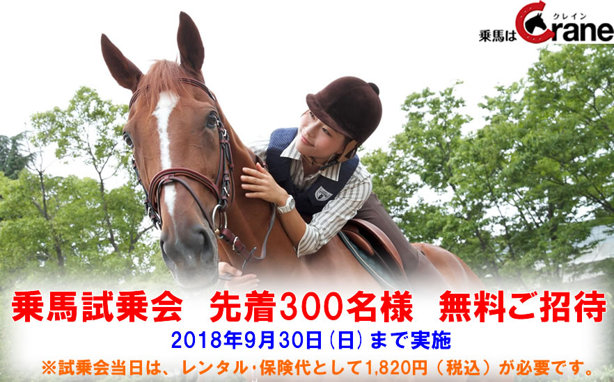 馬と人なかよく